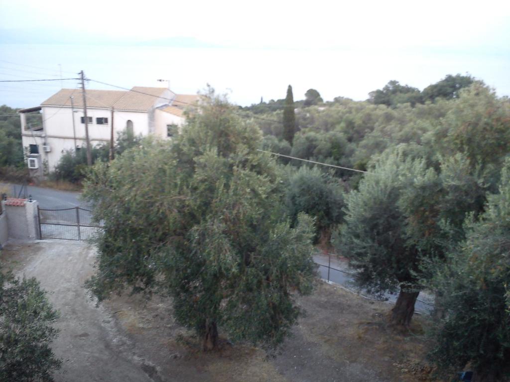 Elaia Resorts Perama  Room photo